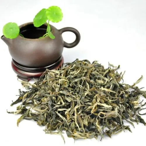 The effects of raw pu’er tea